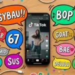 TikTok slang